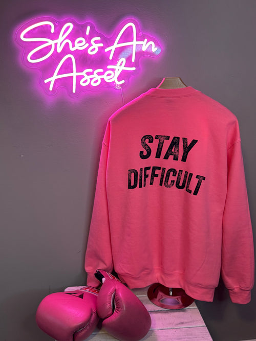 Crew Neck Sweat Shirt (Pink)